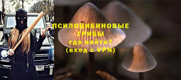 mdpv Зеленодольск