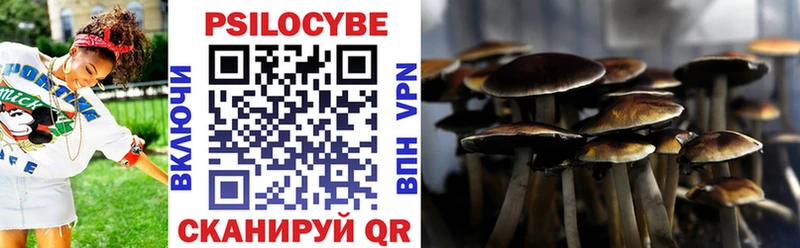 Купить закладки  Луга  Галлюциногенные грибы прущие грибы 
